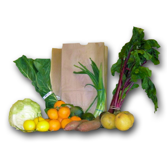 SLIDER_ProduceBag.5a384064fa