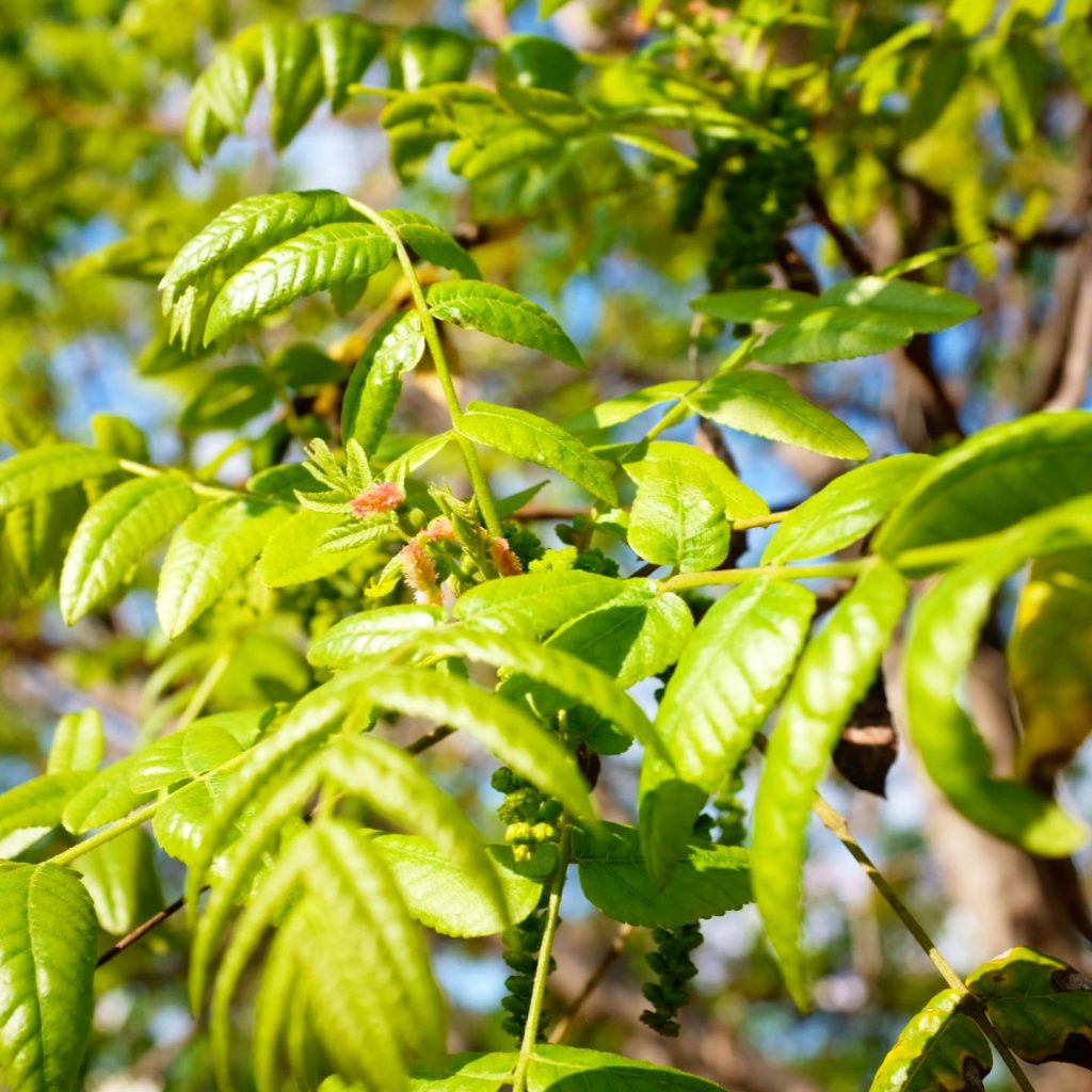 Community Services Unlimited photo 5