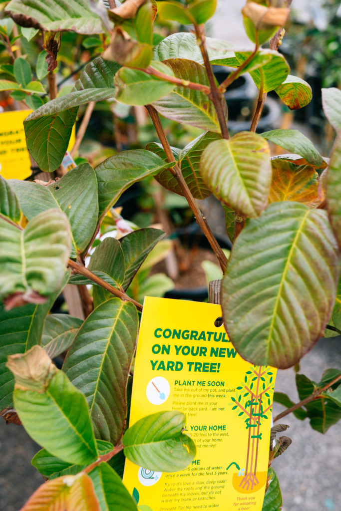 Community Services Unlimited photo 4